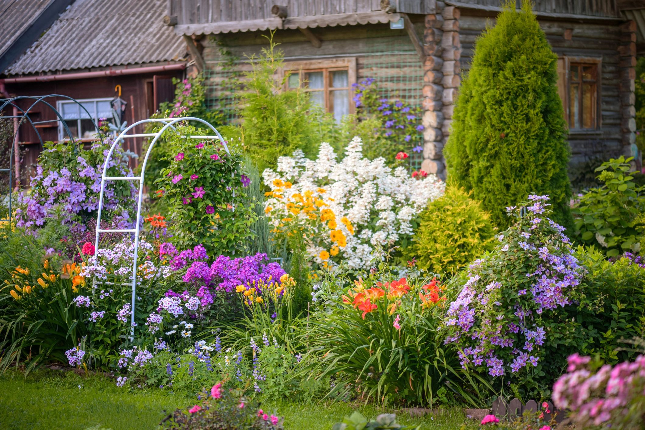 perennial flowers garden stand