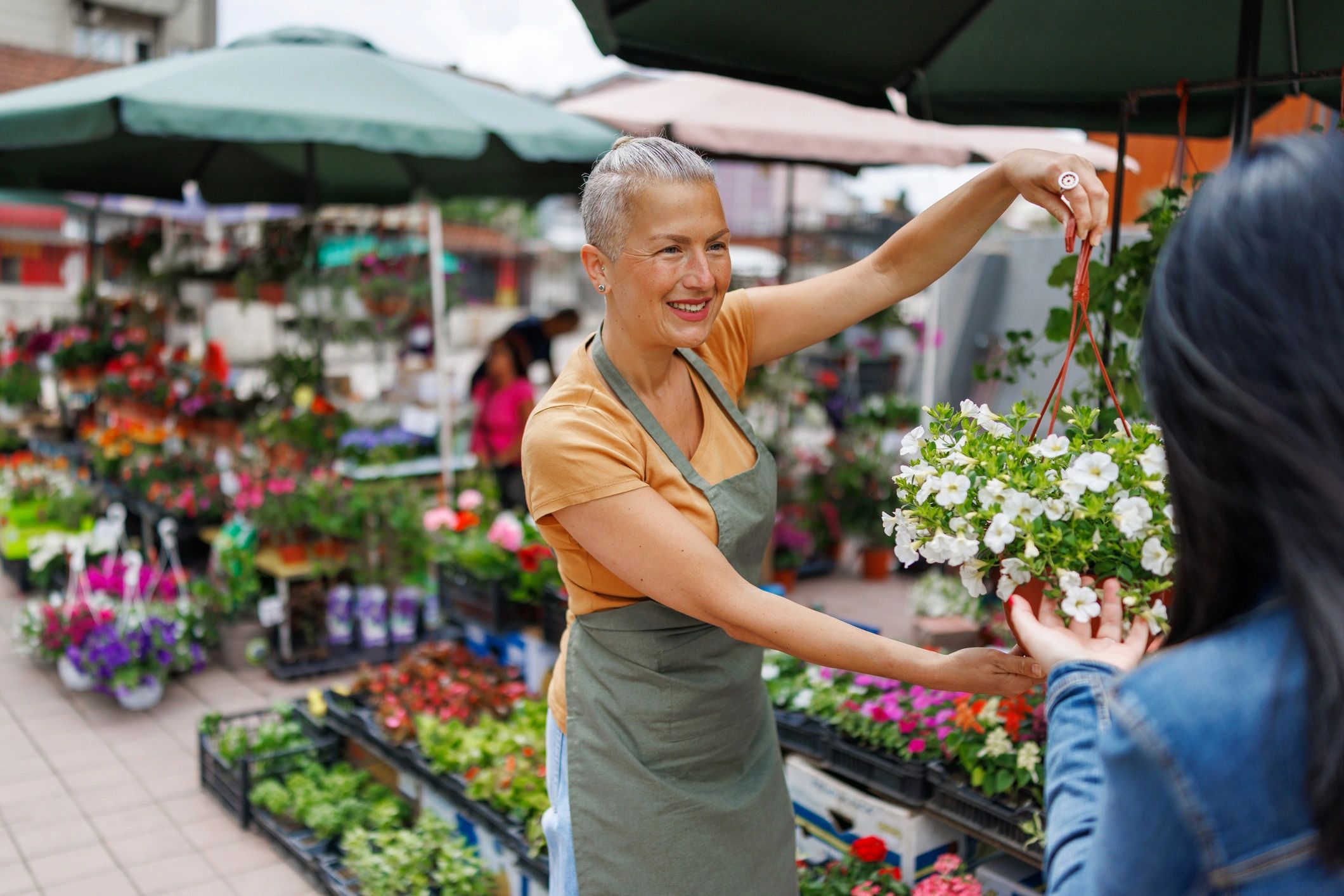 plant sale event local market