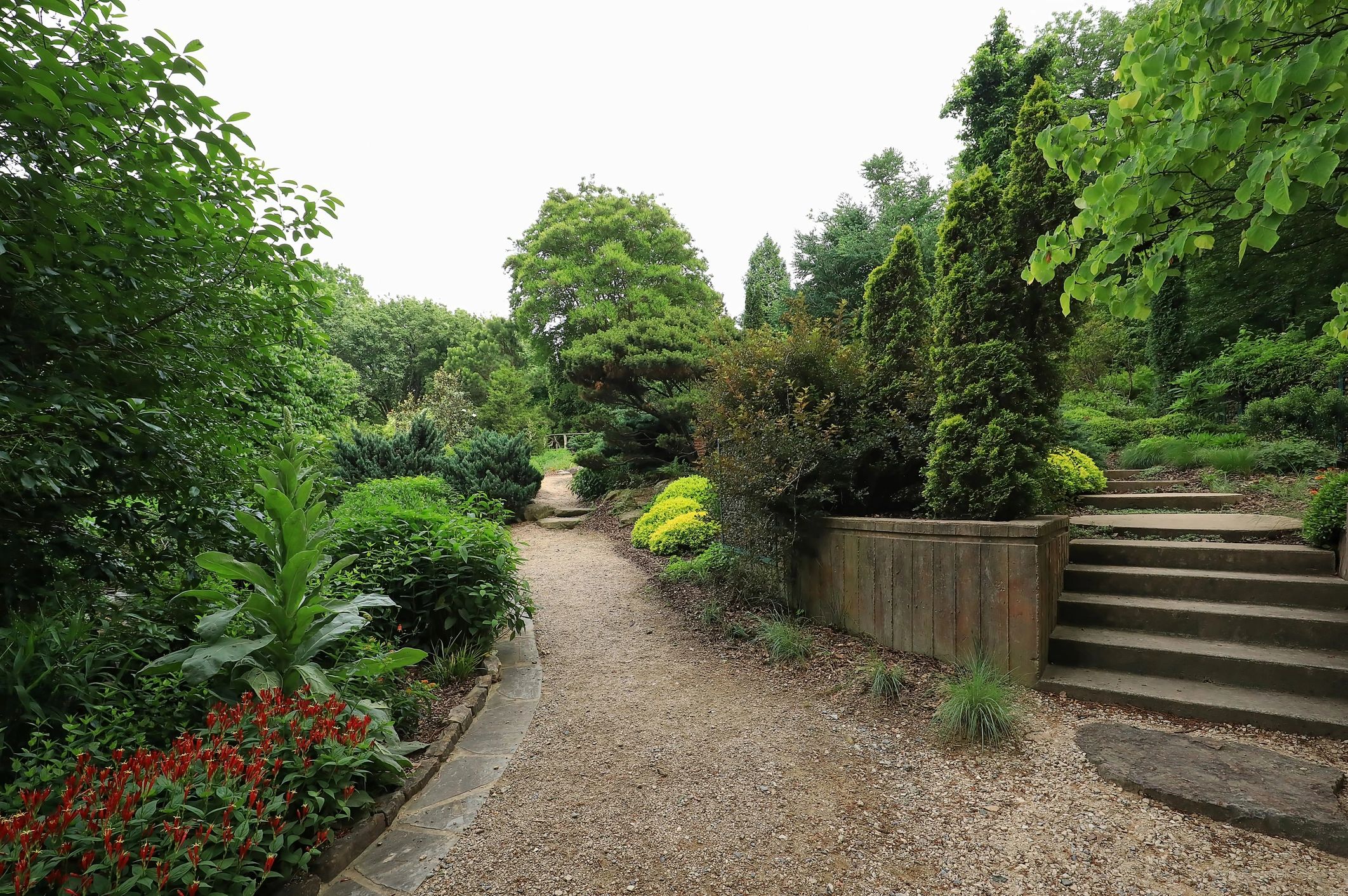 North Carolina perennial plants garden