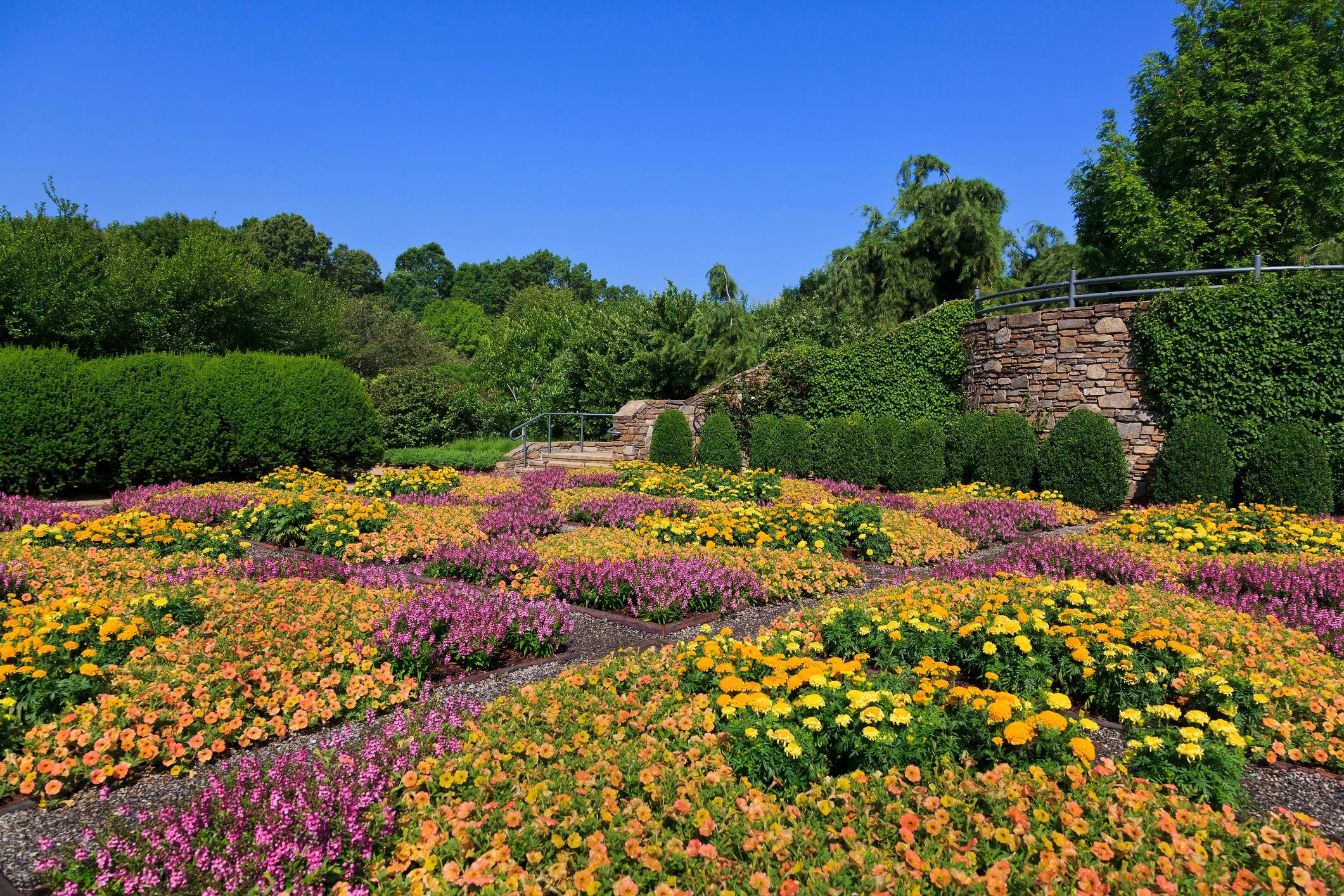 North Carolina perennial plants garden